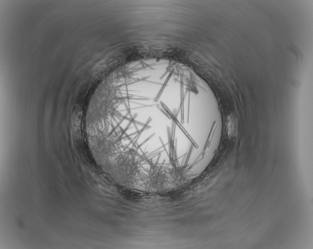 X0000111011059200907060951