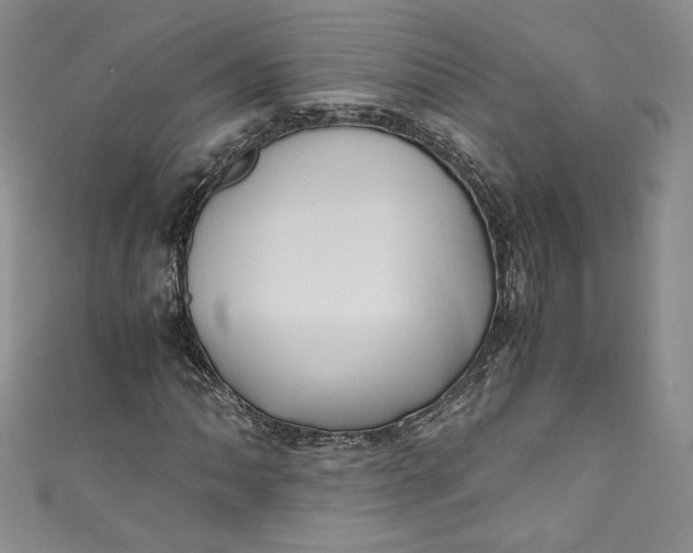 X0000111011062200907060951