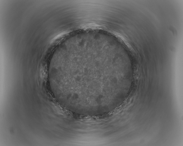 X0000111011063200907060951