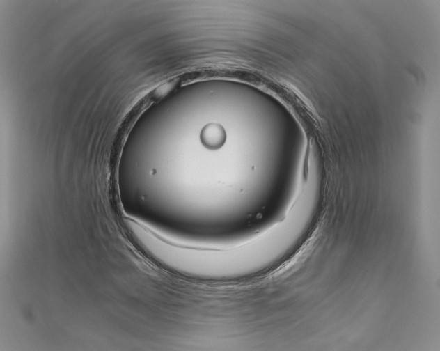 X0000111011065200907060951
