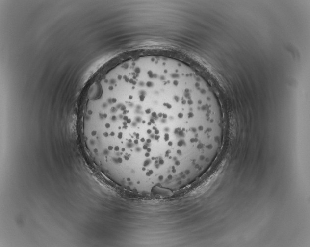 X0000111011066200907060951