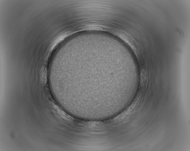 X0000111011067200907060951