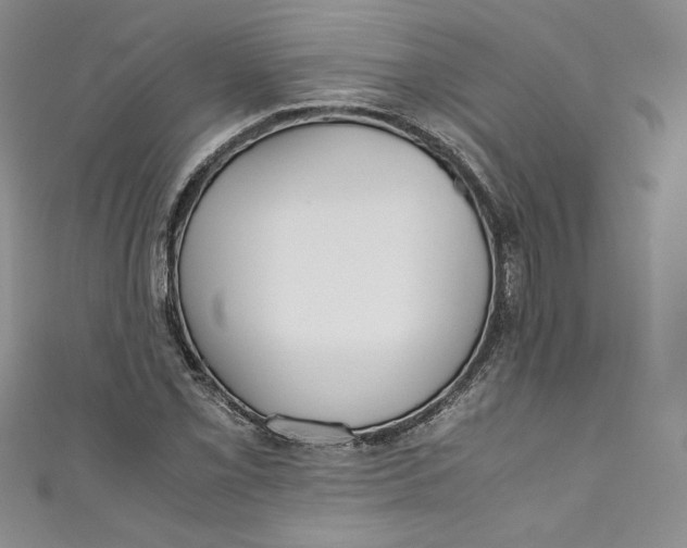 X0000111011069200907060951