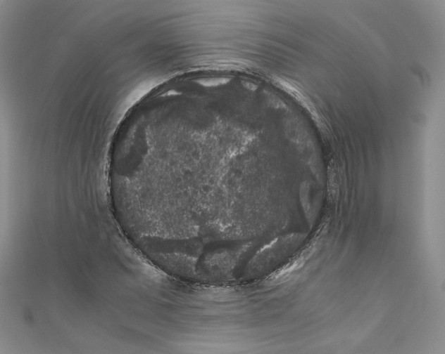 X0000111011071200907060950