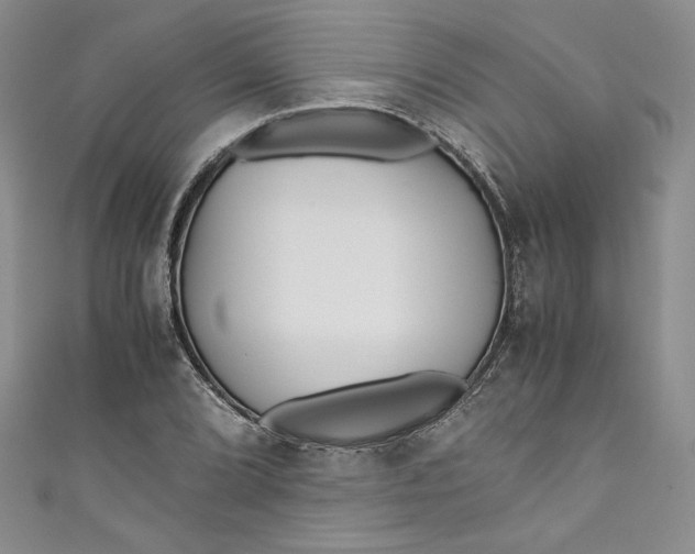 X0000111011072200907060950