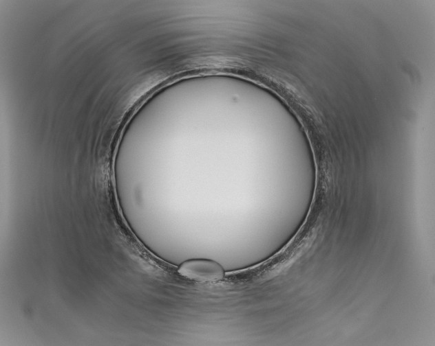 X0000111011073200907060950
