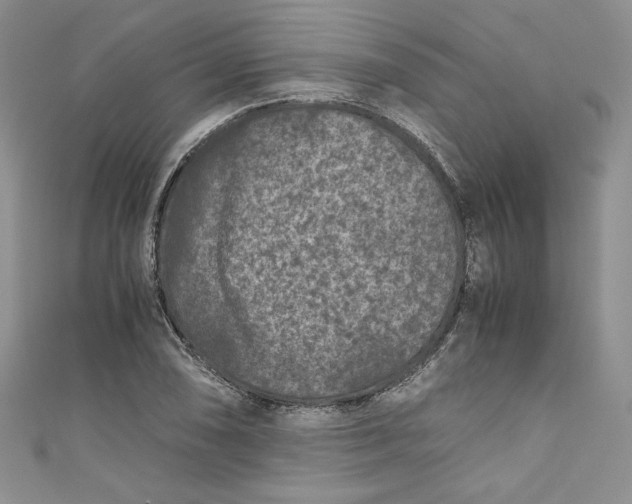 X0000111011074200907060950
