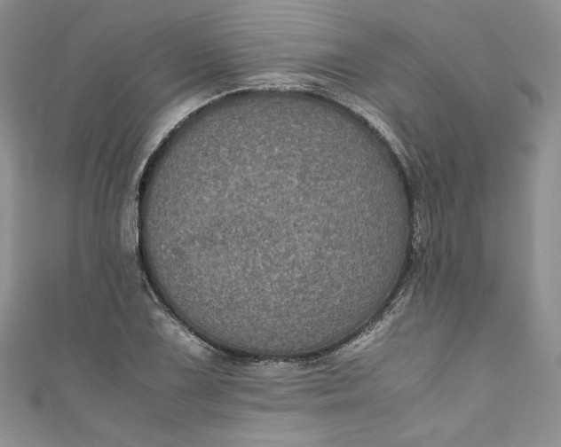 X0000111011075200907060950