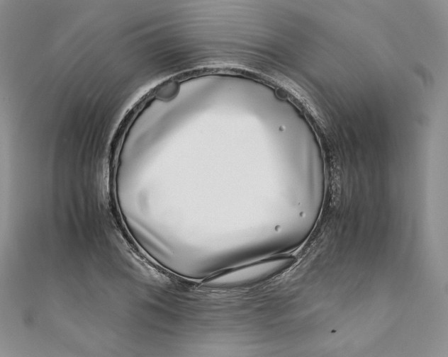 X0000111011076200907060950