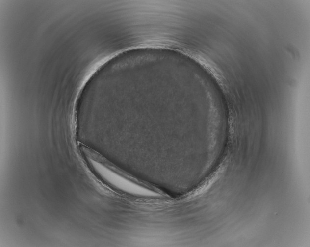 X0000111011077200907060950