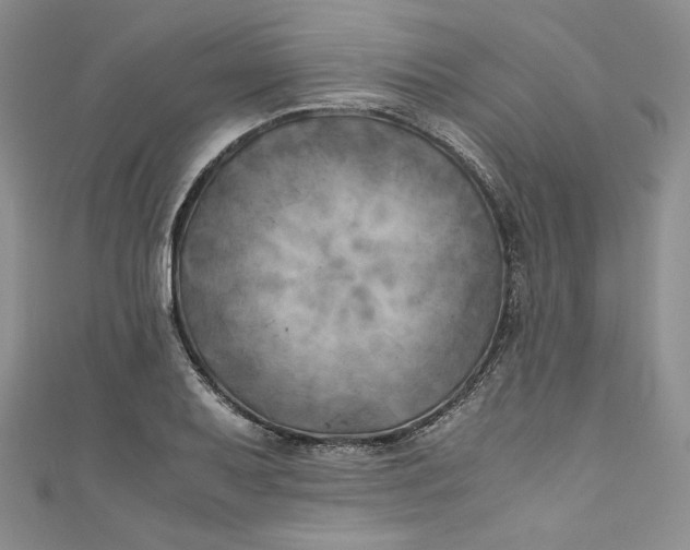 X0000111011079200907060950