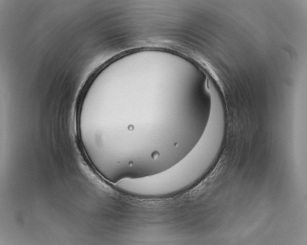 X0000111011080200907060950