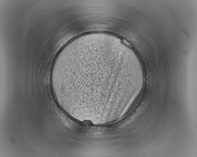 X0000111011081200907060950