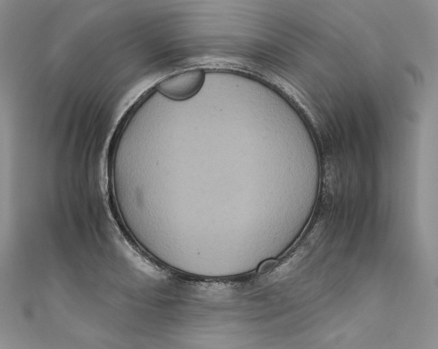 X0000111011082200907060950