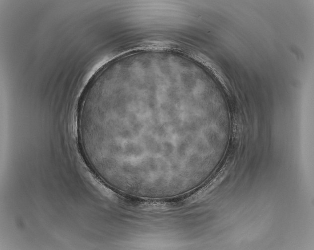 X0000111011083200907060950