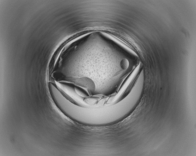 X0000111011084200907060950