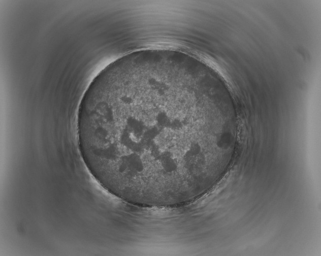 X0000111011087200907060950