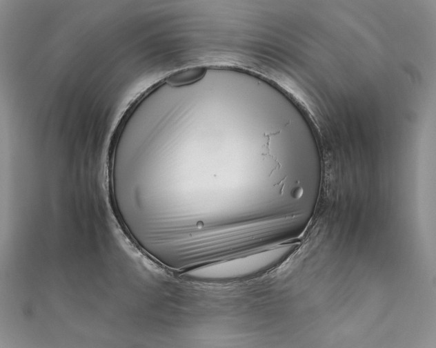 X0000111011088200907060950
