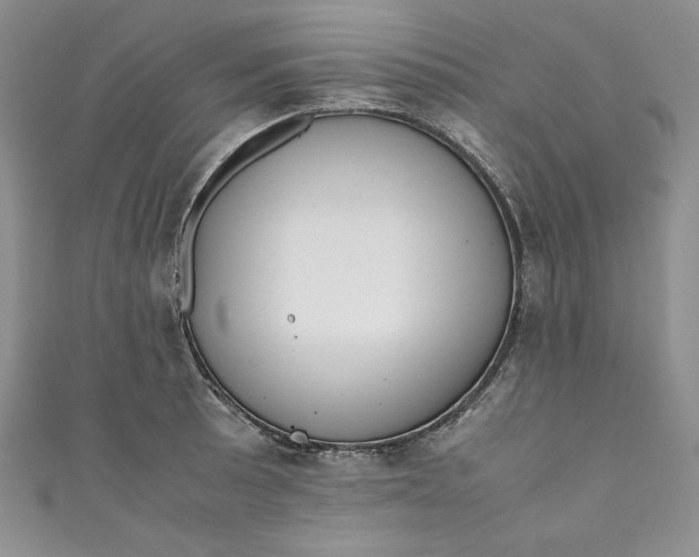 X0000111011089200907060950