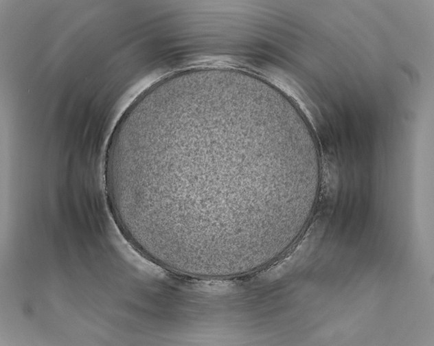 X0000111011090200907060950