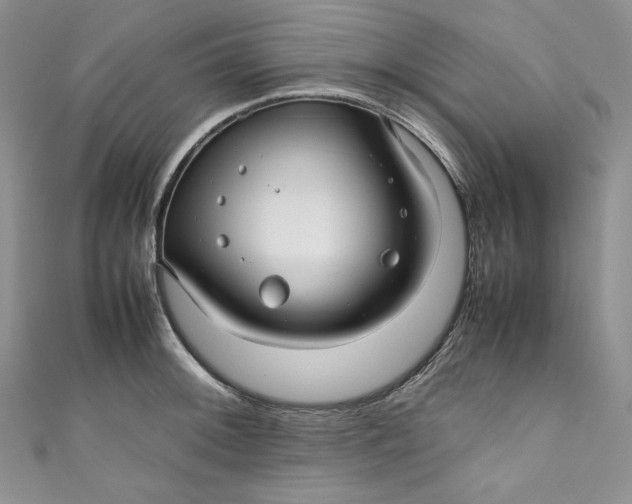 X0000111011092200907060950