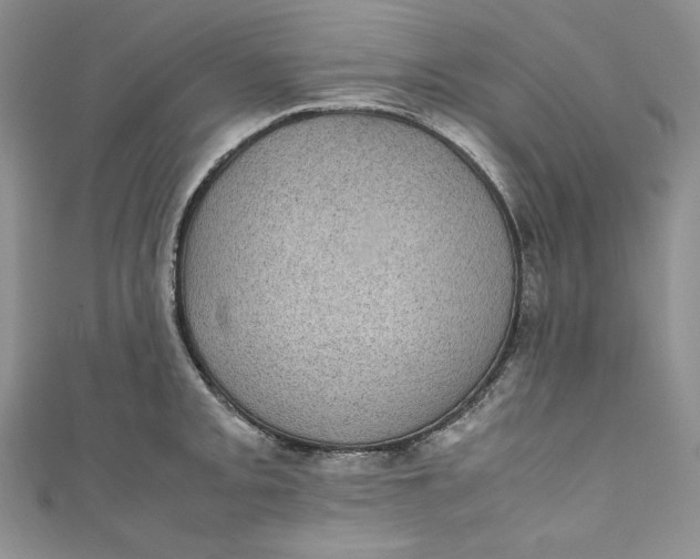 X0000111011093200907060950