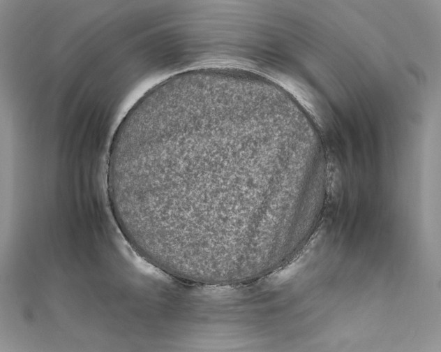 X0000111011094200907060950