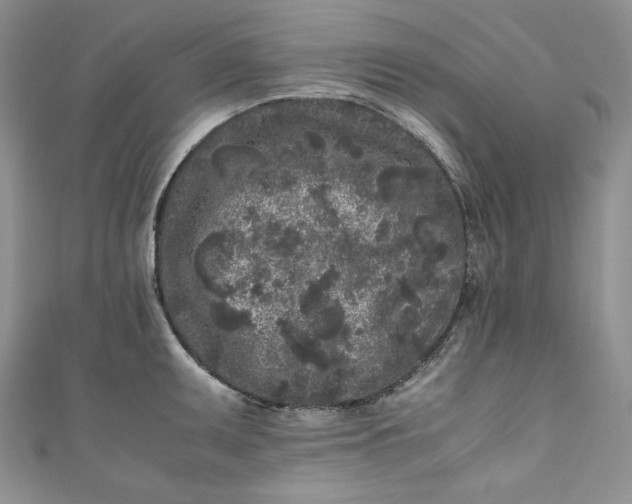 X0000111011095200907060950