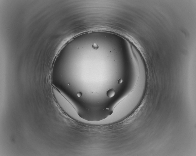 X0000111011097200907060950