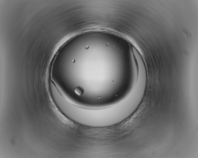 X0000111011098200907060950
