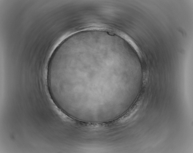 X0000111011099200907060950