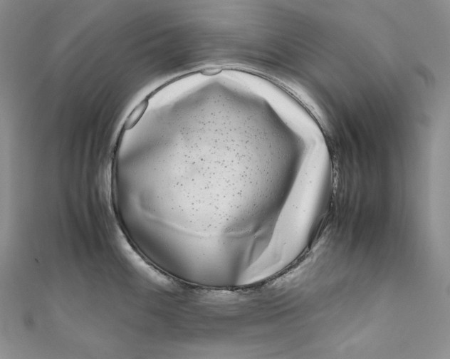 X0000111011100200907060950