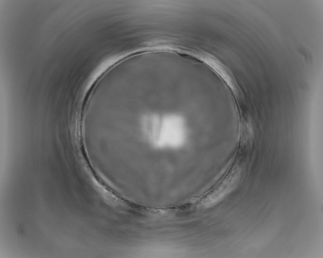 X0000111011101200907060950