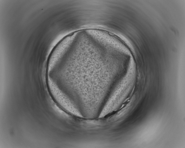 X0000111011102200907060950