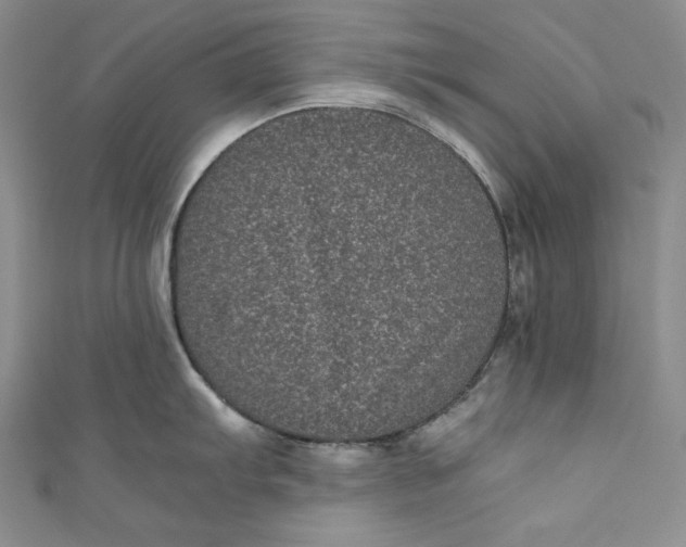 X0000111011103200907060950