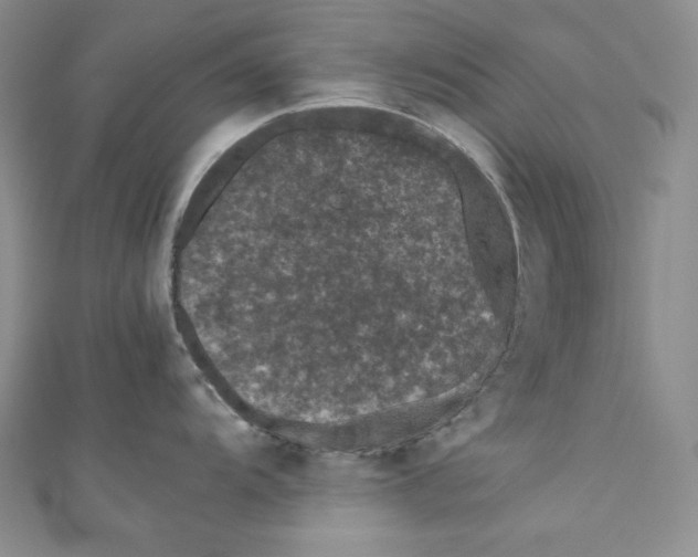 X0000111011104200907060950