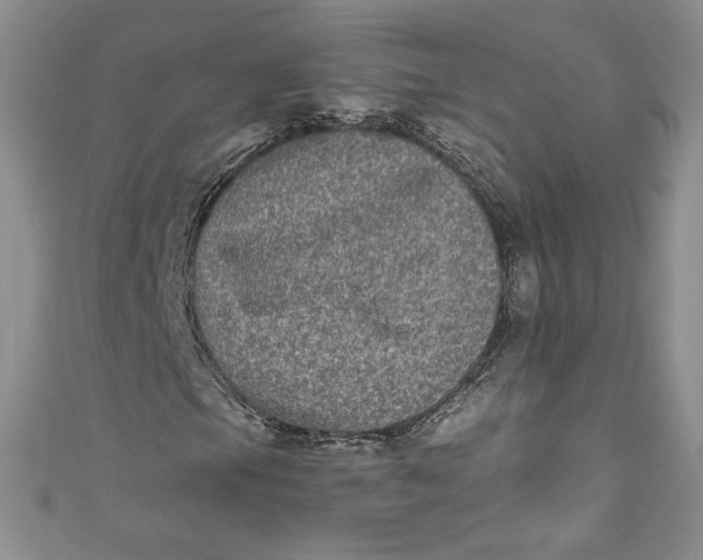 X0000111011105200907060949