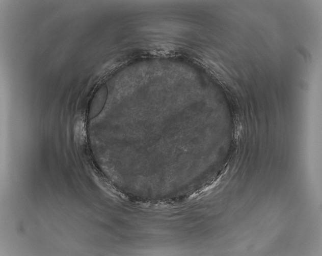 X0000111011106200907060949