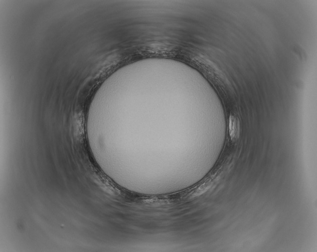 X0000111011107200907060949
