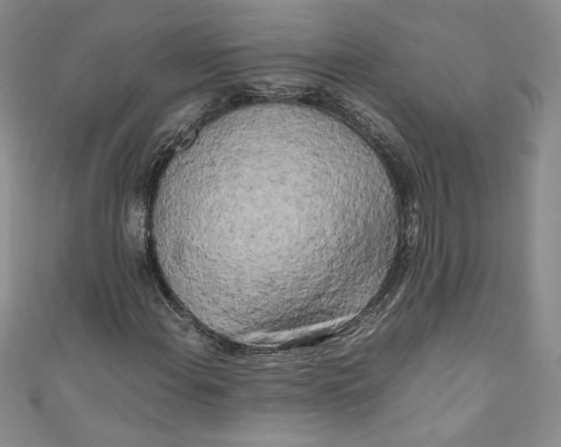 X0000111011108200907060949