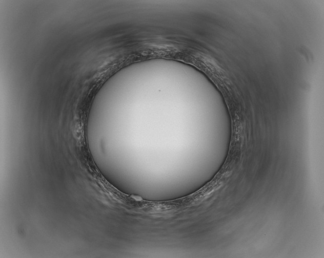 X0000111011109200907060949