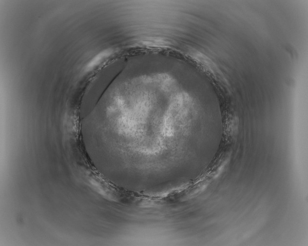 X0000111011110200907060950