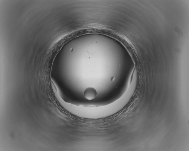 X0000111011112200907060950