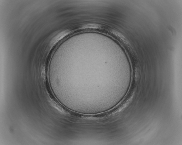 X0000111011113200907060950