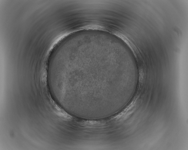 X0000111011115200907060950