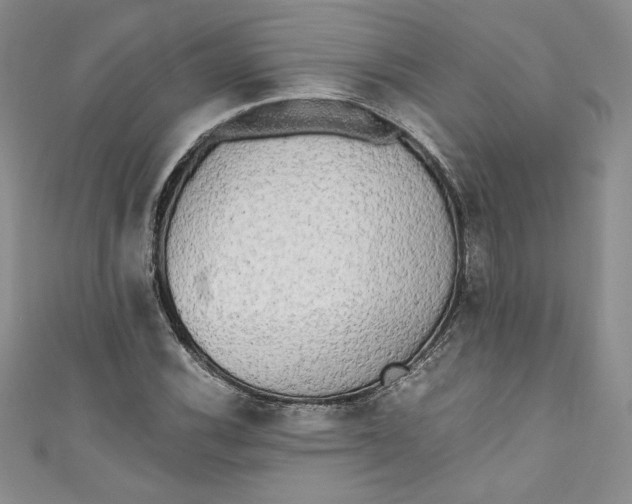 X0000111011116200907060950