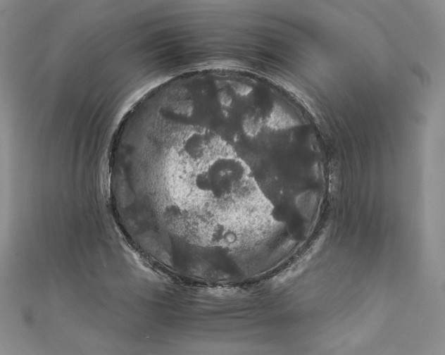 X0000111011117200907060950
