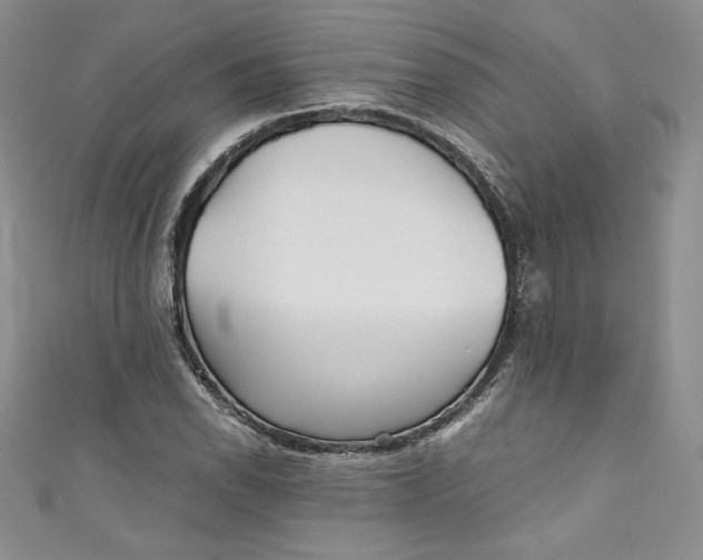 X0000111011118200907060950