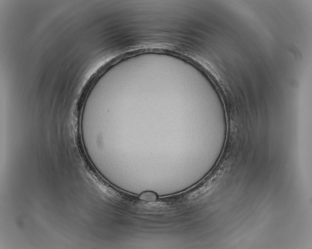 X0000111011119200907060950