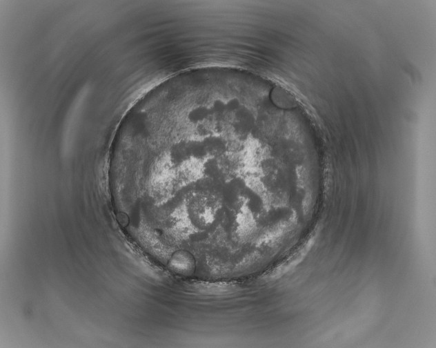X0000111011121200907060950